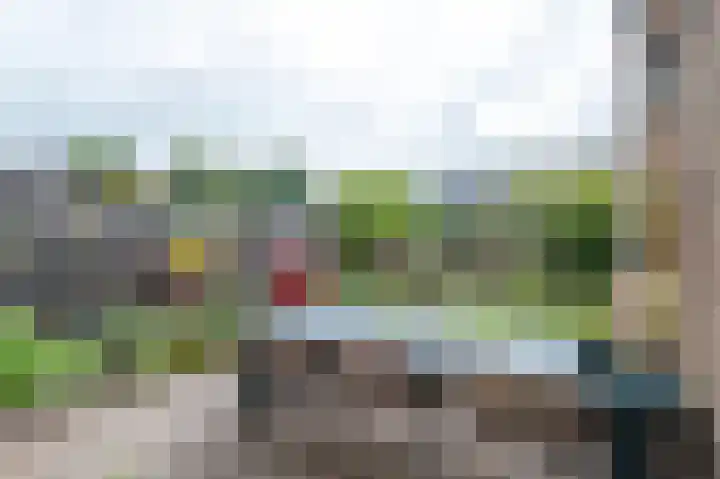 Vlasakkers 8 Buinen thumbnail 42