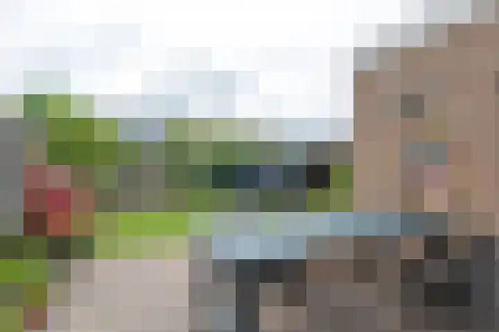 Vlasakkers 8 Buinen thumbnail 43