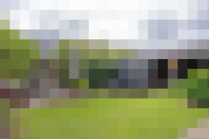 Vlasakkers 8 Buinen thumbnail 47