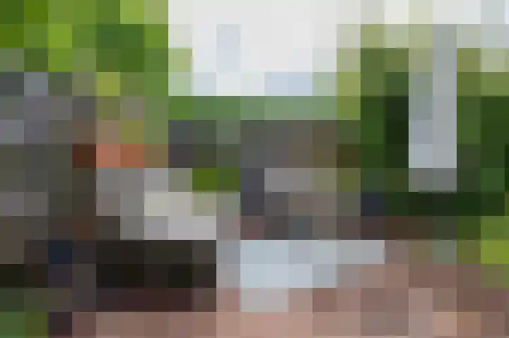 Vlasakkers 8 Buinen thumbnail 48