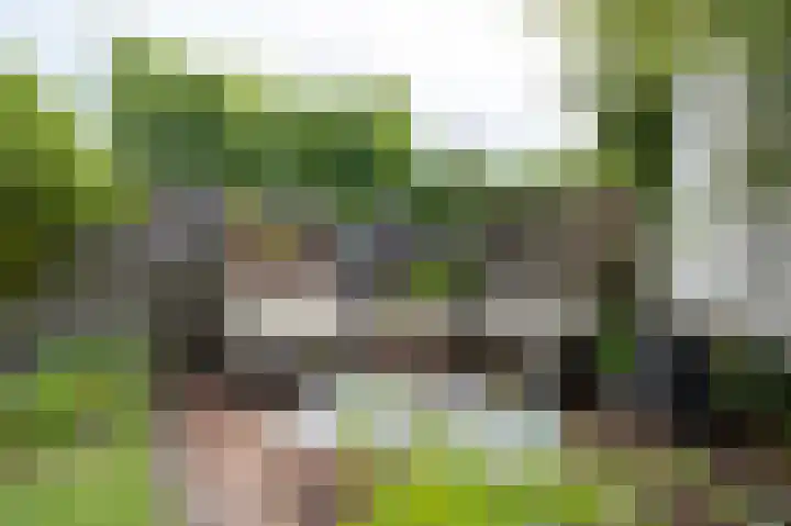 Vlasakkers 8 Buinen thumbnail 49