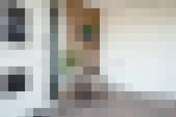Vlasakkers 8 Buinen thumbnail 5