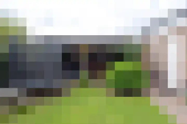 Vlasakkers 8 Buinen thumbnail 50