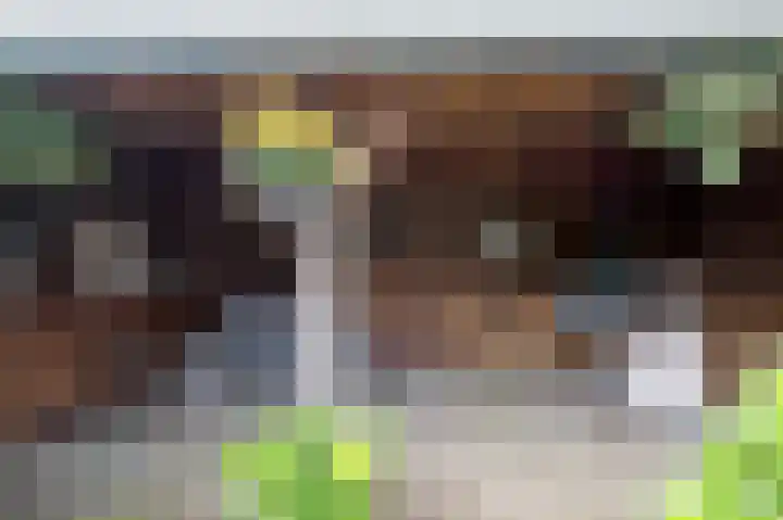 Vlasakkers 8 Buinen thumbnail 51