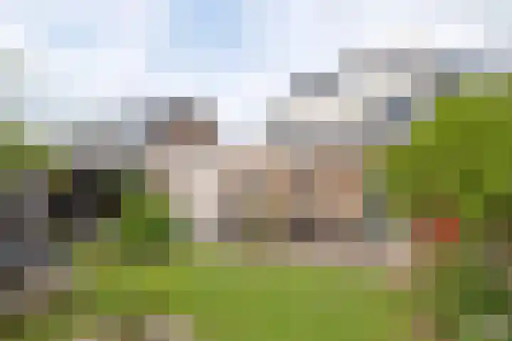 Vlasakkers 8 Buinen thumbnail 52