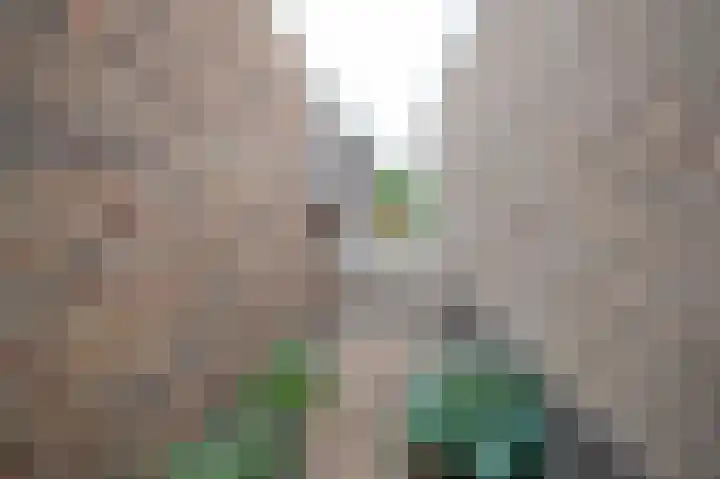 Vlasakkers 8 Buinen thumbnail 55