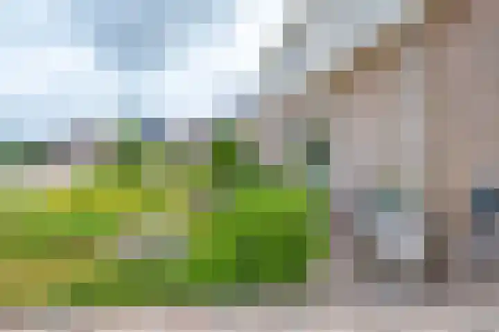Vlasakkers 8 Buinen thumbnail 57