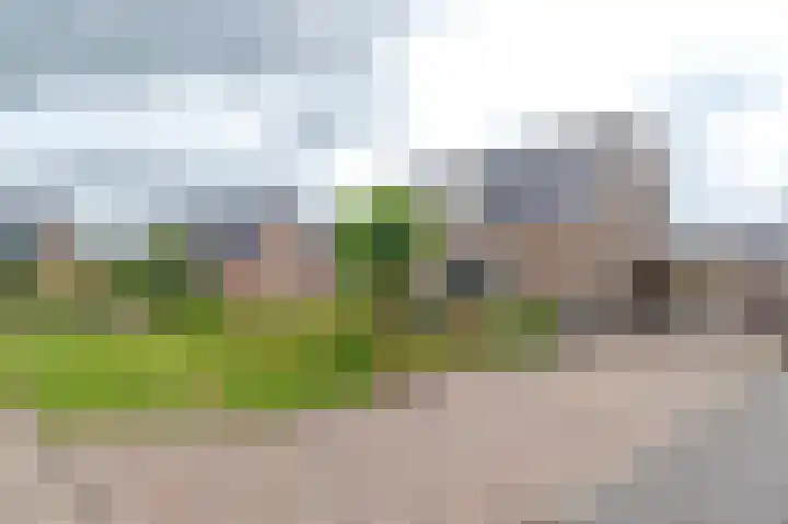 Vlasakkers 8 Buinen thumbnail 58