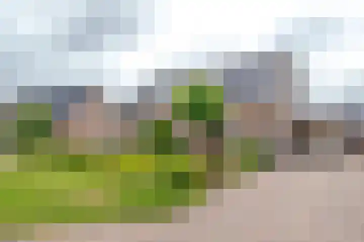 Vlasakkers 8 Buinen thumbnail 59