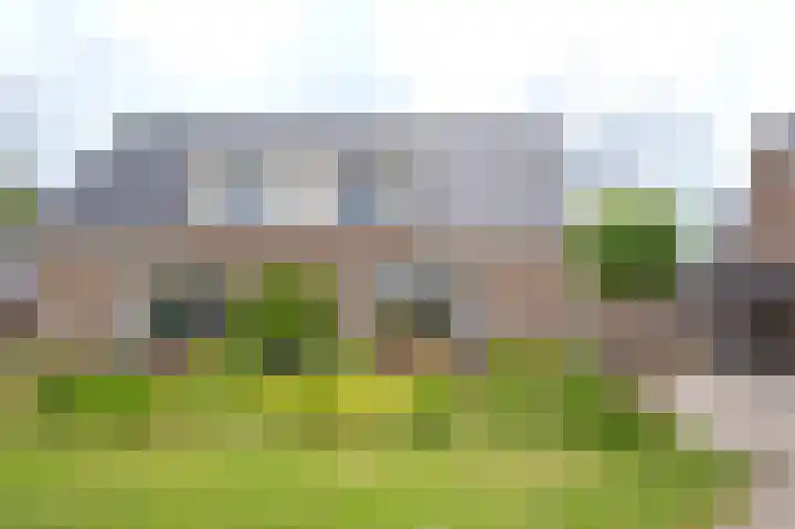 Vlasakkers 8 Buinen thumbnail 60