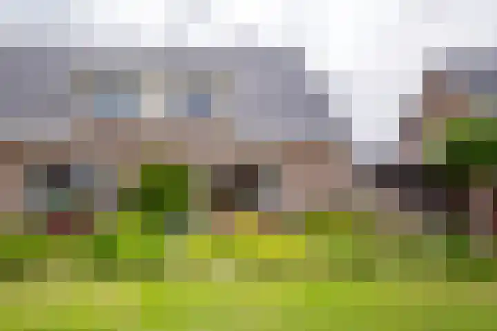 Vlasakkers 8 Buinen thumbnail 61