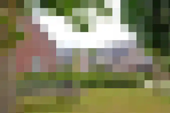 Vlasakkers 8 Buinen thumbnail 63