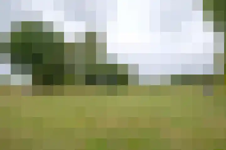 Vlasakkers 8 Buinen thumbnail 64