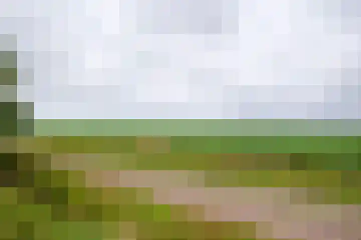 Vlasakkers 8 Buinen thumbnail 65