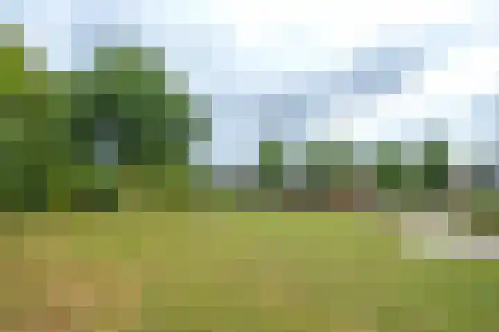 Vlasakkers 8 Buinen thumbnail 66
