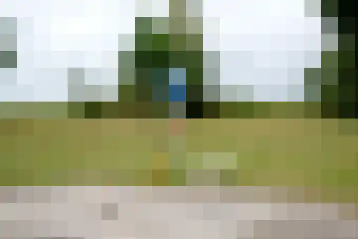 Vlasakkers 8 Buinen thumbnail 67