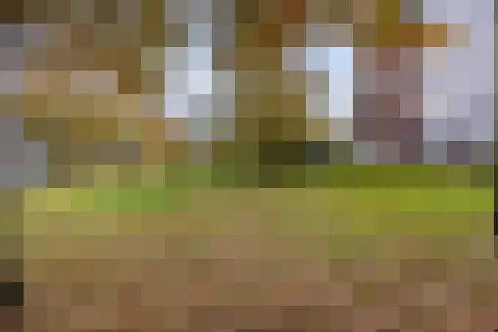 Vlasakkerweg 12 A Amersfoort thumbnail 33