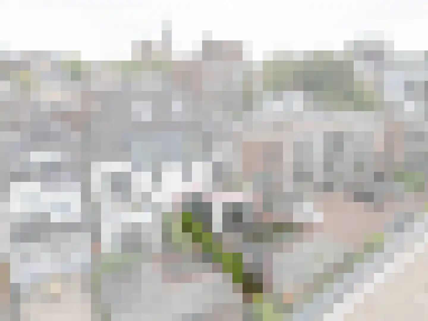 Vlasakkerweg 12 Amersfoort thumbnail 23