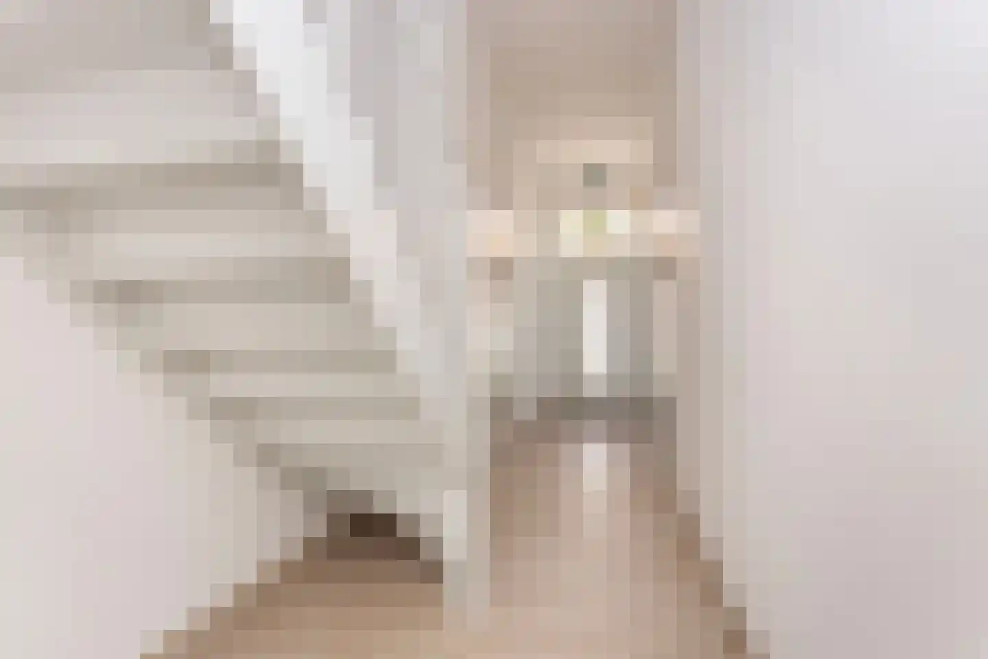 Vlasakkerweg 12 B Amersfoort thumbnail 7