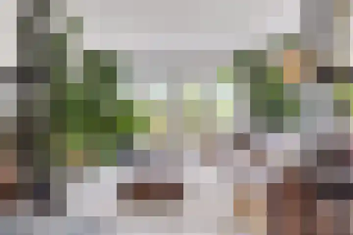 Vlasakkerweg 3 Dreischor thumbnail 10