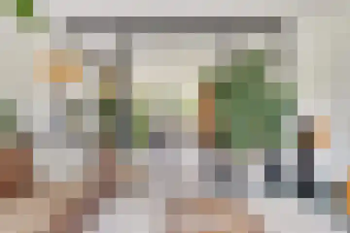 Vlasakkerweg 3 Dreischor thumbnail 11