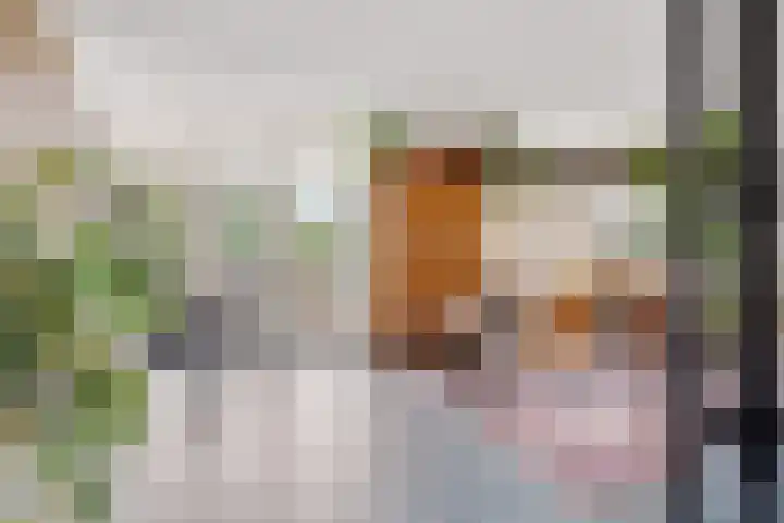 Vlasakkerweg 3 Dreischor thumbnail 12