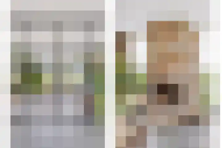 Vlasakkerweg 3 Dreischor thumbnail 13