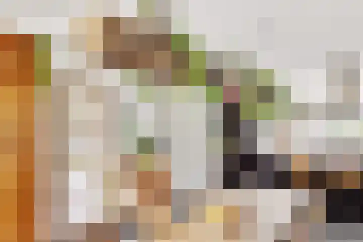 Vlasakkerweg 3 Dreischor thumbnail 15