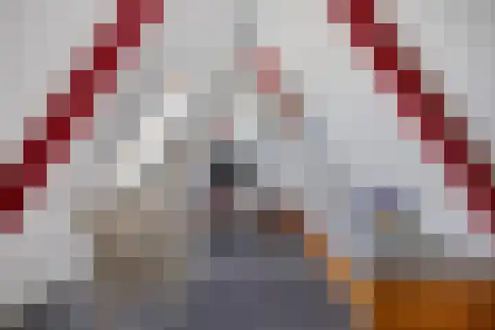 Vlasakkerweg 3 Dreischor thumbnail 33