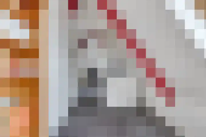 Vlasakkerweg 3 Dreischor thumbnail 36