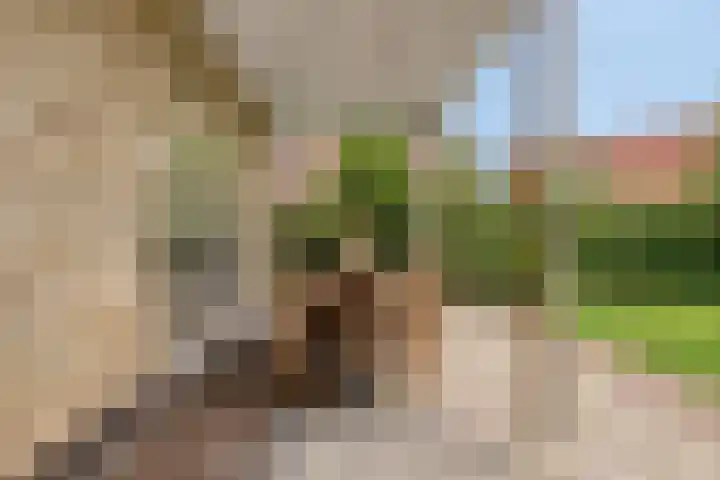 Vlasakkerweg 3 Dreischor thumbnail 38