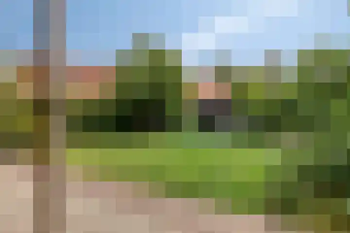 Vlasakkerweg 3 Dreischor thumbnail 39