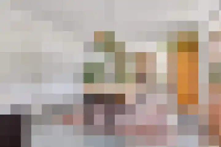 Vlasakkerweg 3 Dreischor thumbnail 4