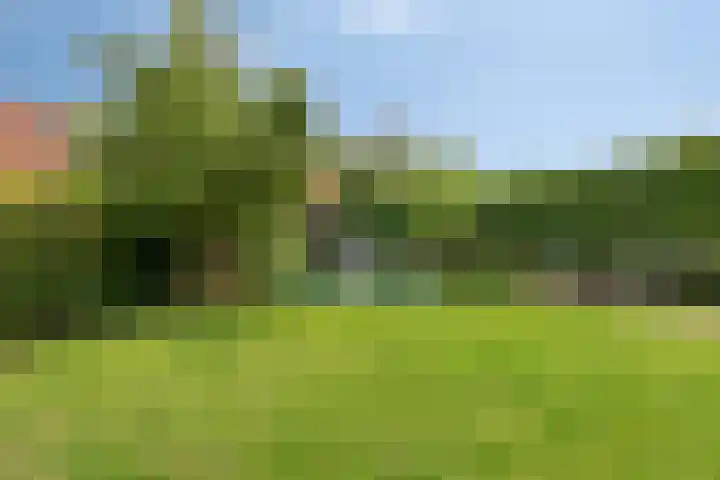 Vlasakkerweg 3 Dreischor thumbnail 40