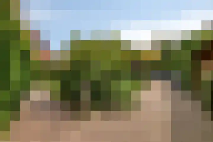 Vlasakkerweg 3 Dreischor thumbnail 41