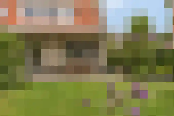 Vlasakkerweg 3 Dreischor thumbnail 43