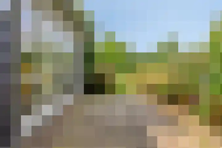 Vlasakkerweg 3 Dreischor thumbnail 46