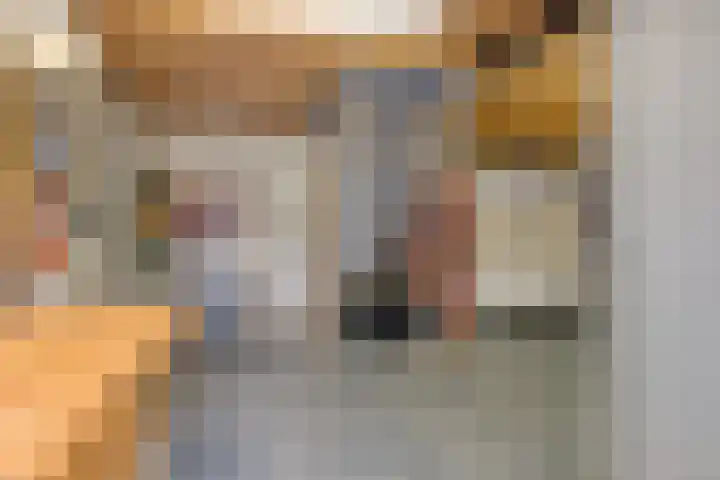 Vlasakkerweg 3 Dreischor thumbnail 48