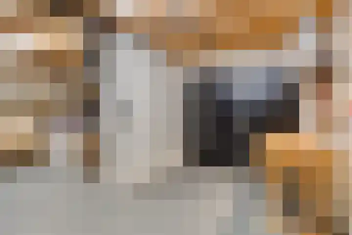 Vlasakkerweg 3 Dreischor thumbnail 49