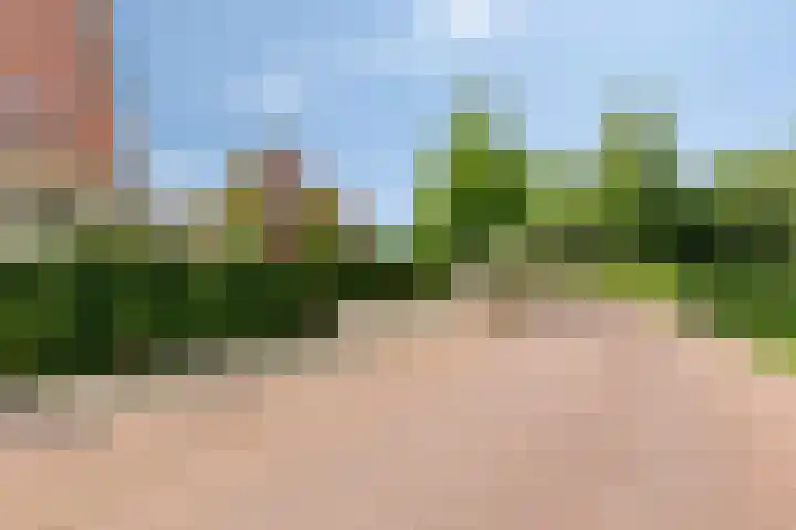 Vlasakkerweg 3 Dreischor thumbnail 52
