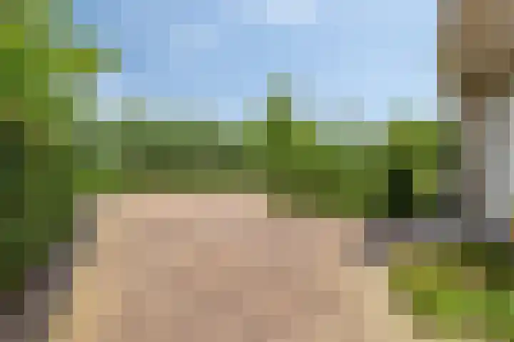 Vlasakkerweg 3 Dreischor thumbnail 53