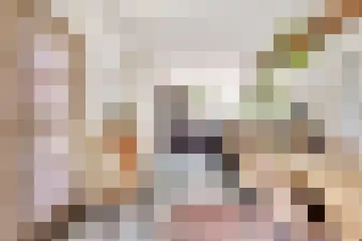 Vlasakkerweg 3 Dreischor thumbnail 7