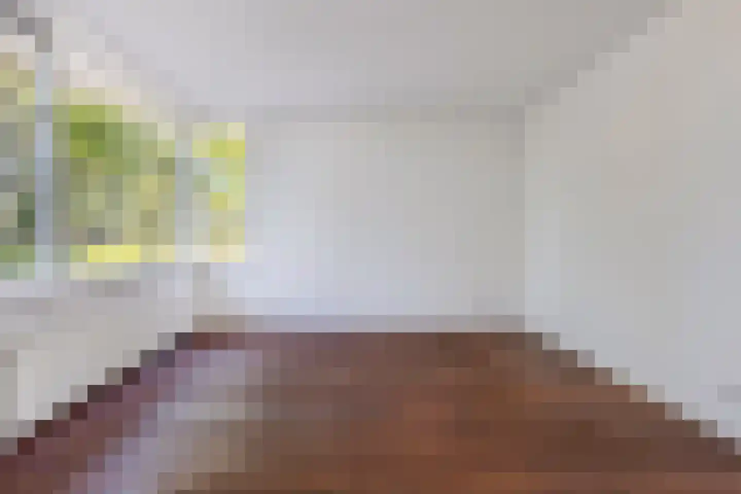 Vlasakkerweg 9 Dreischor thumbnail 10
