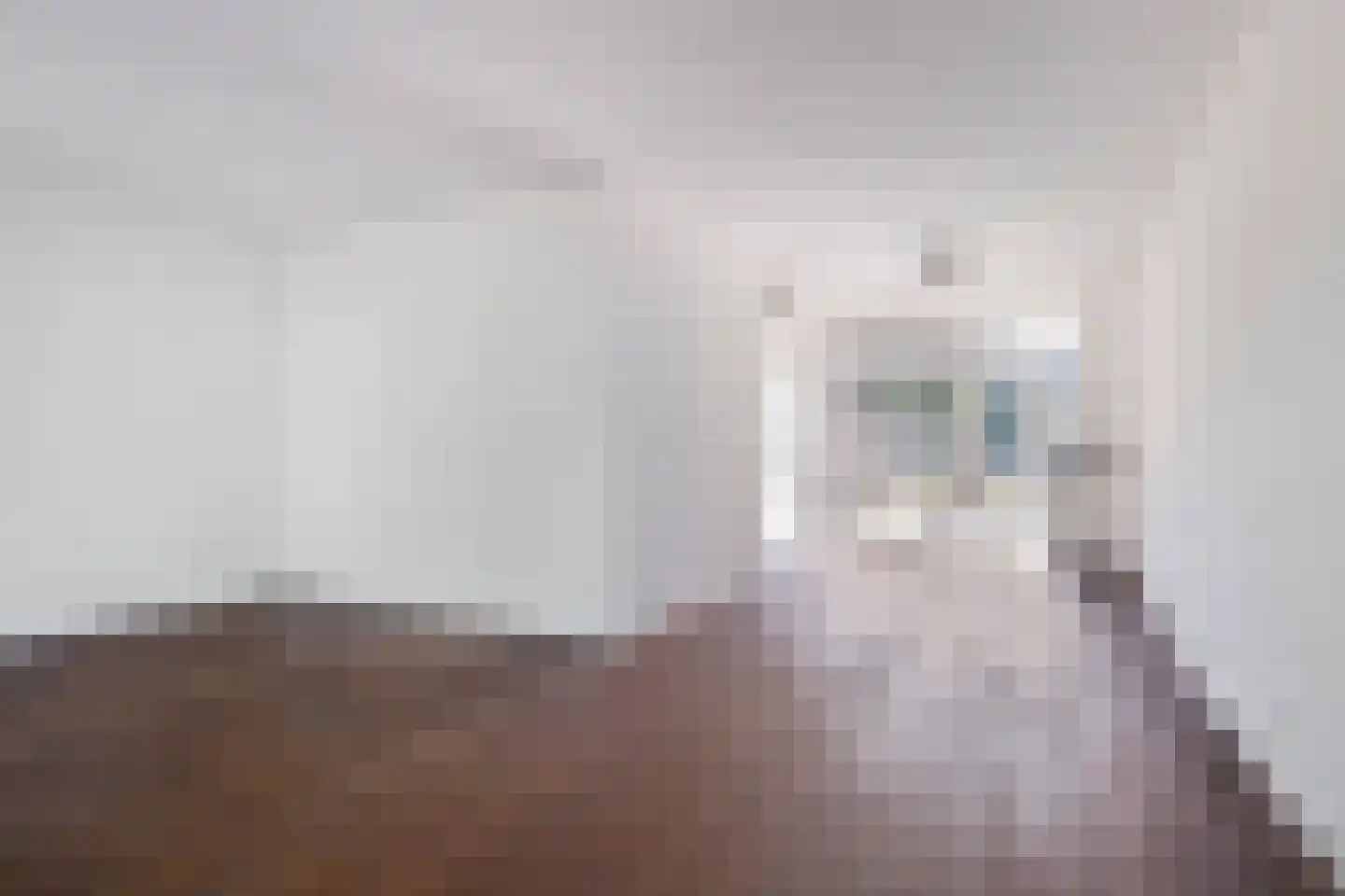 Vlasakkerweg 9 Dreischor thumbnail 12