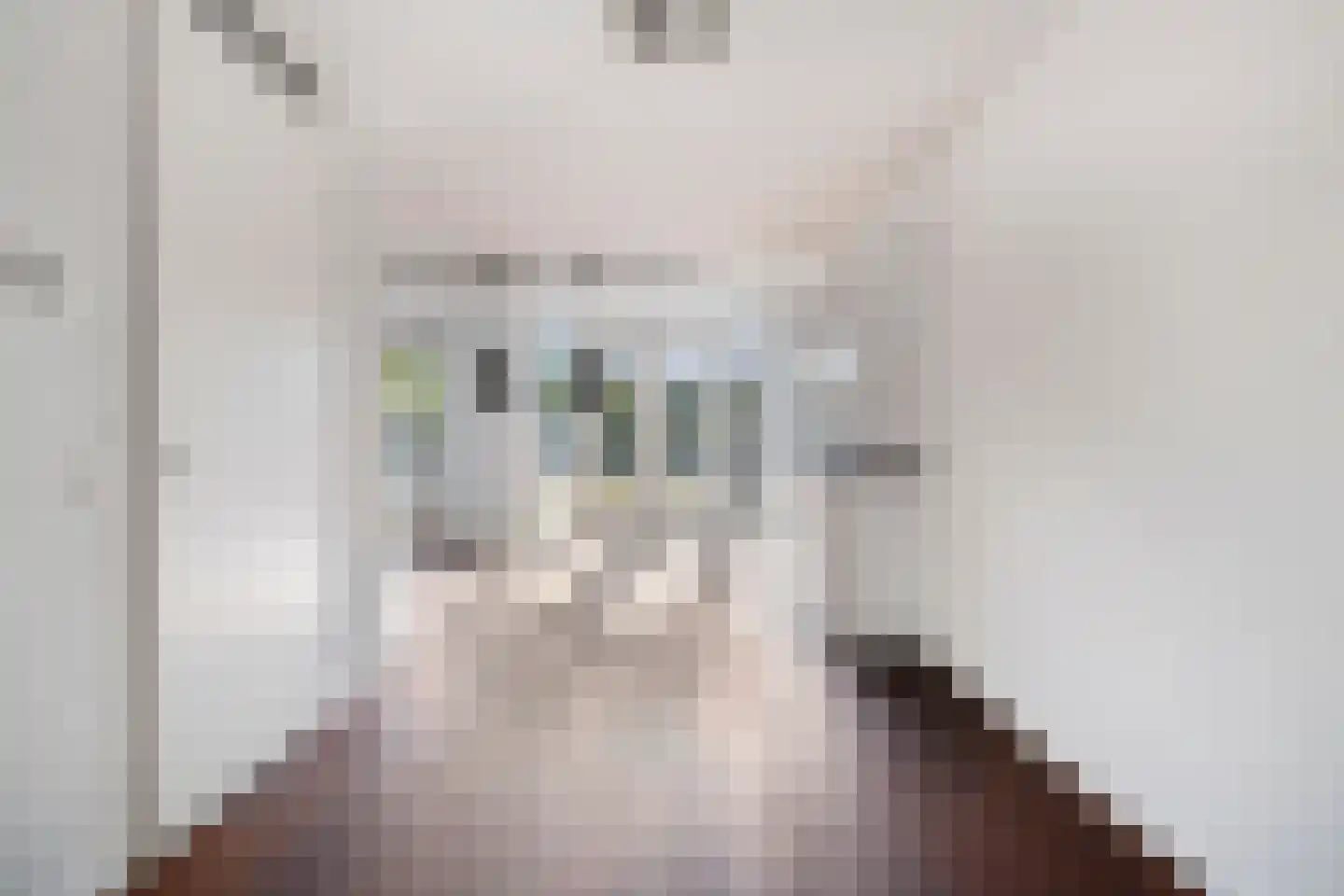 Vlasakkerweg 9 Dreischor thumbnail 14