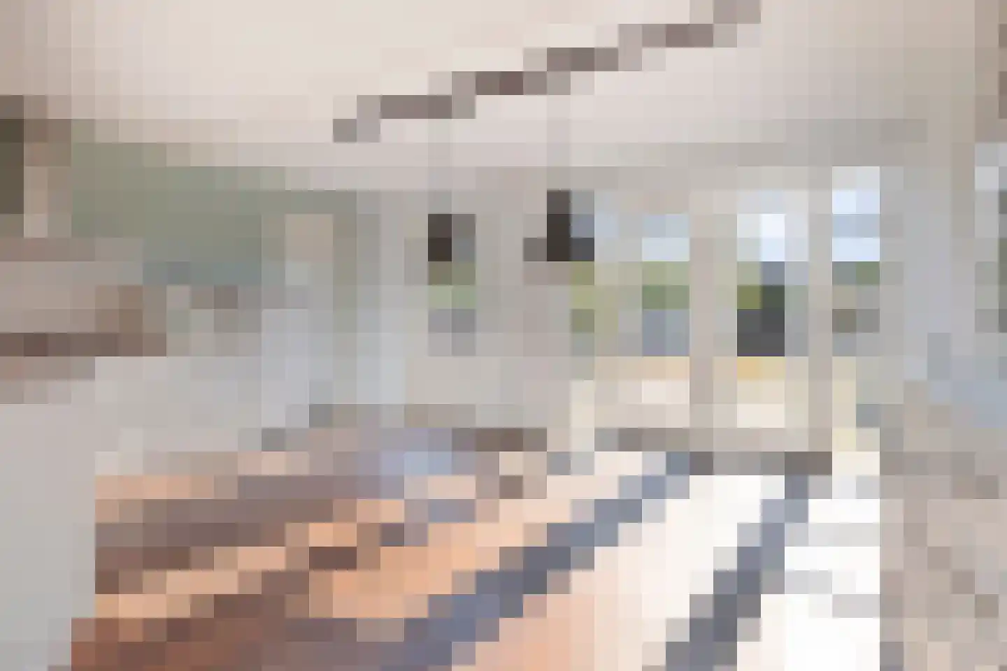 Vlasakkerweg 9 Dreischor thumbnail 15