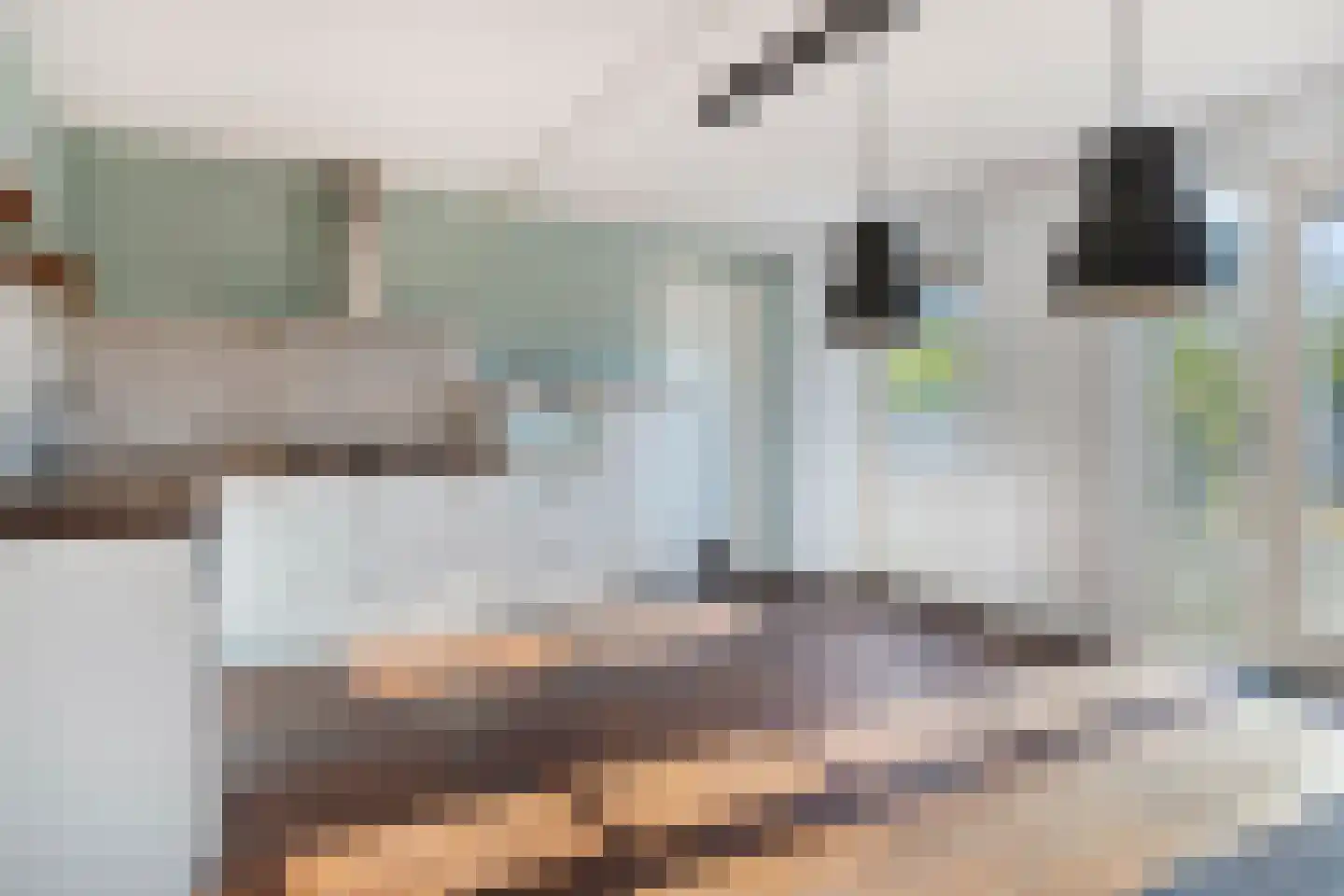 Vlasakkerweg 9 Dreischor thumbnail 16