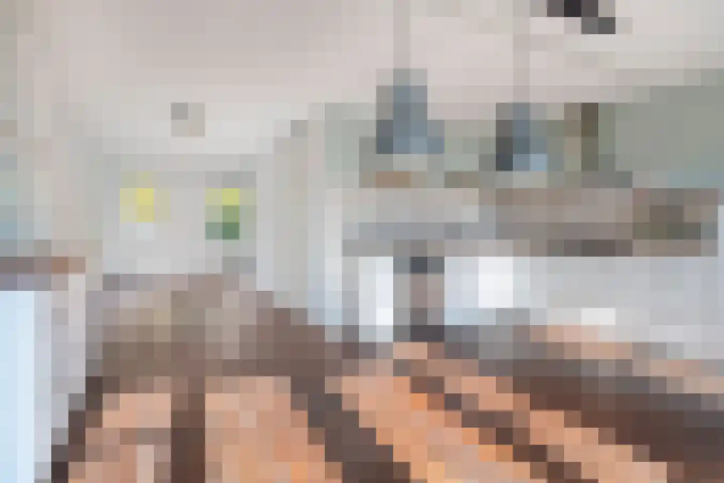 Vlasakkerweg 9 Dreischor thumbnail 17
