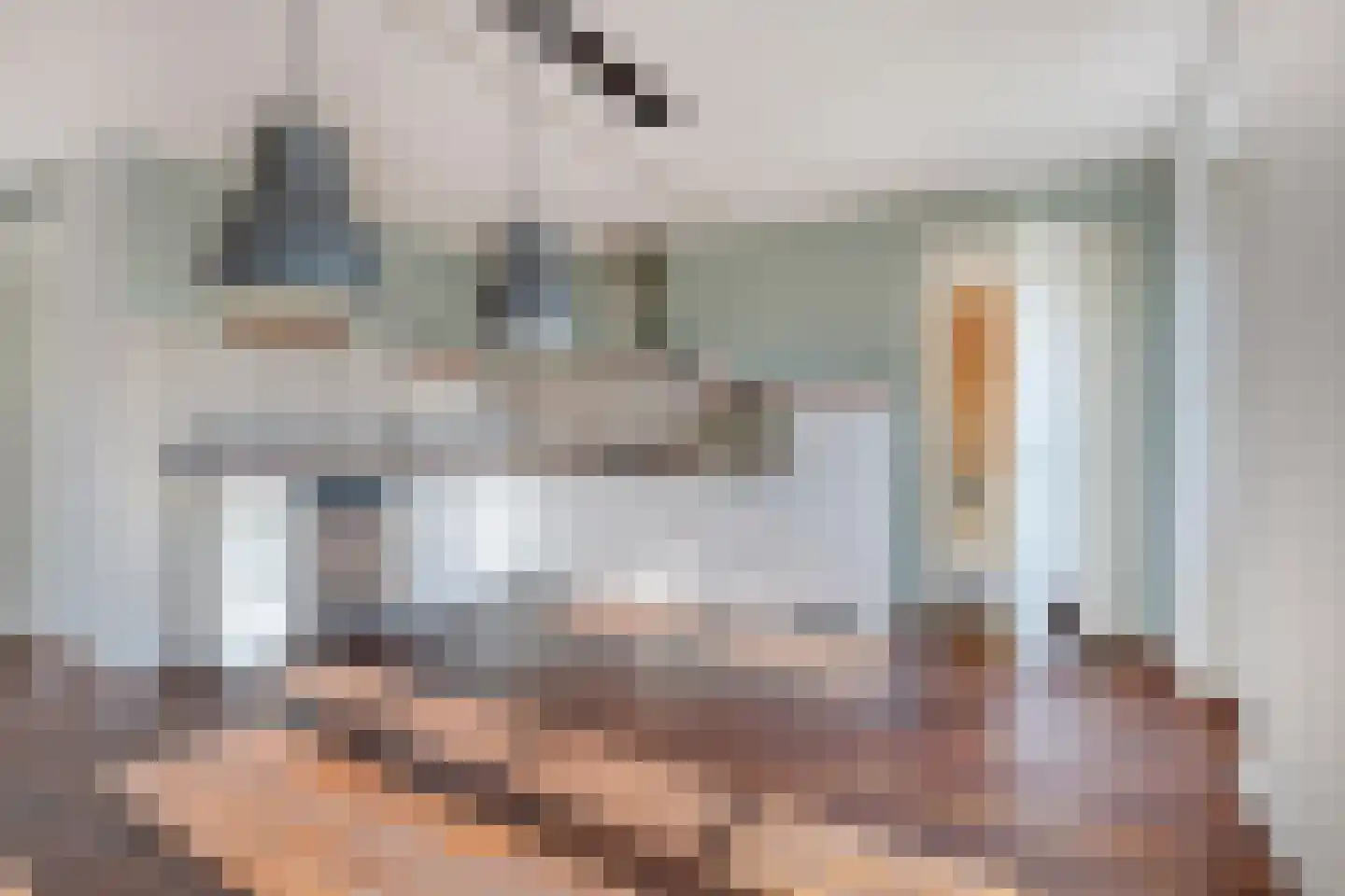 Vlasakkerweg 9 Dreischor thumbnail 18
