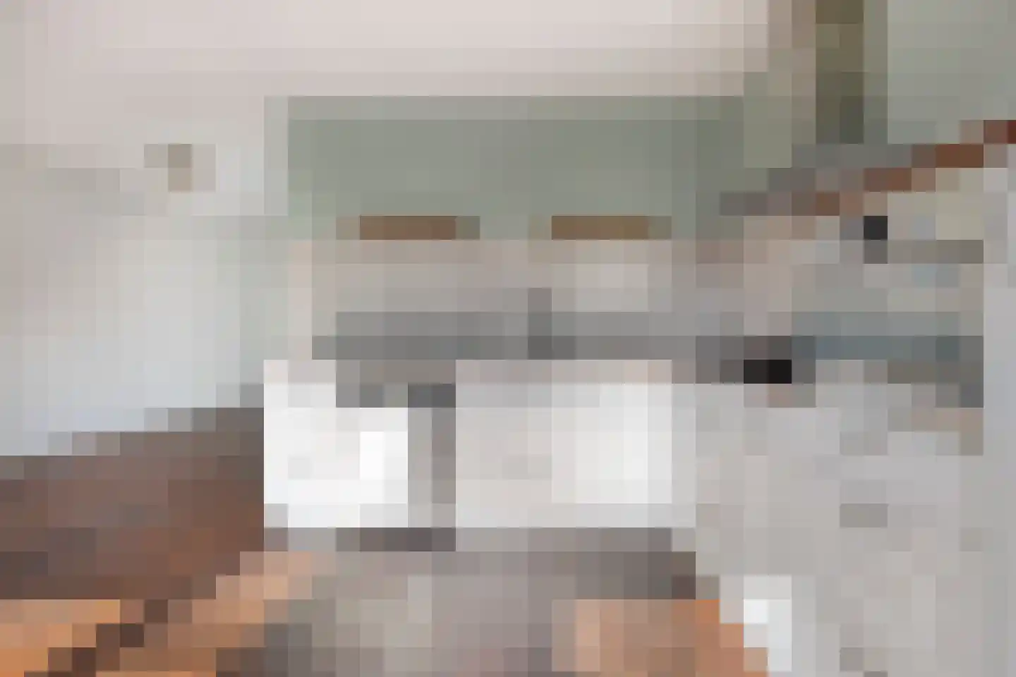Vlasakkerweg 9 Dreischor thumbnail 19